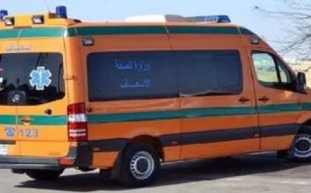 تصادم مروع جنوب أسوان يودي بحياة 7 أشخاص وإصابة 4 آخرين