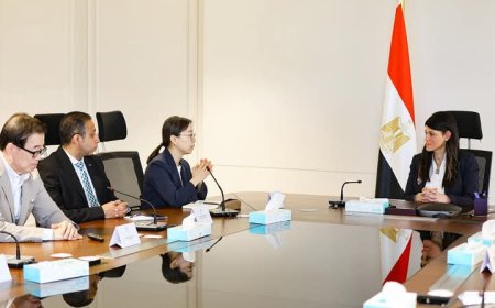 "المشاط" تبحث مع وفد الوكالة الكورية للتعاون الدولي مستجدات مشروع رقمنة الفحص والتتبع لدعم التجارة في مصر