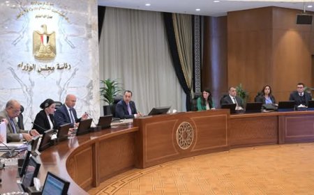 رئيس الوزراء يوافق على إنشاء مشروع جديد بنظام المناطق الحرة الخاصة بمدينة برج العرب