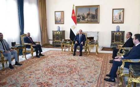 الرئيس عبد الفتاح السيسي يستقبل وزير الخارجية إريتريا