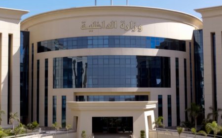 الداخلية تكشف حقيقة فيديو «اختطاف طفل بالإسكندرية»: ادعاء كاذب بسبب خلافات الجيرة