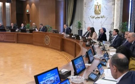 الحكومة توافق على 6 قرارات جديدة تشمل النقل والإسكان والكهرباء