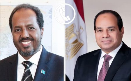 السيسي يطمئن على الرئيس الصومالي بعد محاولة استهدافه ويؤكد دعم مصر لمكافحة الإرهاب