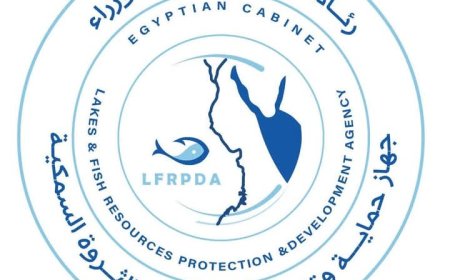 استمرار أعمال الصيد بالمزارع السمكية لزيادة الإنتاج ودعم الأمن الغذائي