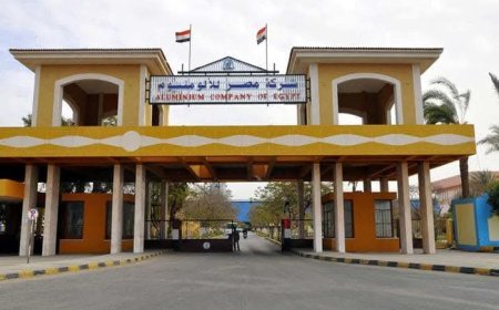 وزير قطاع الأعمال العام يتابع مشروع المحطة الشمسية بمجمع الألومنيوم 