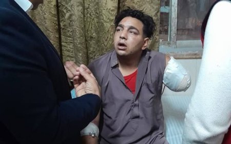 محافظ الغربية يوجه برعاية مصاب هجوم النمر الأبيض في سيرك طنطا