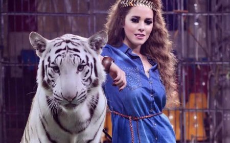 أنوسة كوتة تقرر وقف أنشطة سيرك طنطا وإزالته بعد حادث هجوم النمر