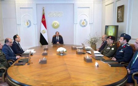 السيسي يبحث مع الحكومة تعزيز التغذية الكهربائية لمشروع «الدلتا الجديدة»