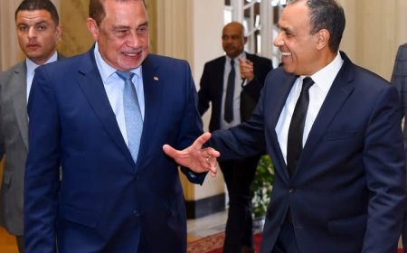 عبد العاطي يبحث مع نظيره السيشلي سبل دعم التعاون الاقتصادي والسياحي