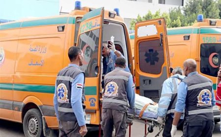 مشاجرة بسبب قطة تنتهي بجثة ومصابين في بني محمد بأسيوط