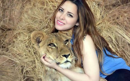 المكتب الإعلامي والقانوني لـ أنوسة كوتة: تحذير من نشر معلومات مغلوطة بشأن حادث السيرك في طنطا