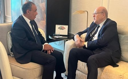 وزير الخارجية يبحث مع ميقاتي دعم مصر للبنان والتطورات الإقليمية من أبو ظبي