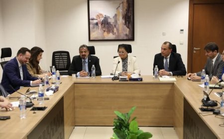 شراكة صحية واعدة بين القاهرة وباريس.. «الصحة» تبحث مع «ميديف الدولية» فرص الاستثمار والتحول الرقمي