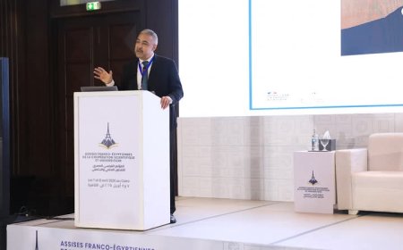 مصر وفرنسا تعززان الشراكة الأكاديمية.. حسام عثمان يشيد بتقدم الجامعات المصرية ويدعو لدعم الابتكار