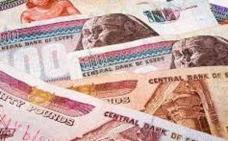 ضبط متهم في قضية غسيل أموال تقدر بـ 120 مليون جنيه 