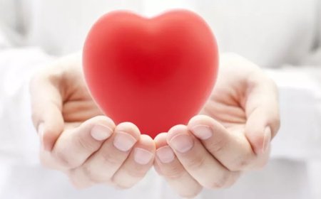 قصة حياة تتحدث إلى القلب