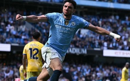 مرموش يسجل و السيتي يفوز على كريستال بالاس