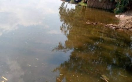 إرتفاع منسوب النيل يُغرق 648 فدانًا بالمنوفية بسبب أمطار إثيوبيا