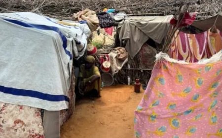 هجوم غاشم لقوات الدعم السريع على معسكر زمزم للنازحين و مقتل المئات بالسودان