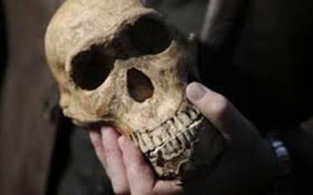 اكتشاف حفرية بشرية غامضة في تايوان يُثبت وجود إنسان دينيسوفا في شرق آسيا