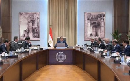 وزير الثقافة: اجتماعات مكثفة لاستكمال تشكيل لجنة قضايا الدراما تنفيذاً لتوجيهات الرئيس السيسي