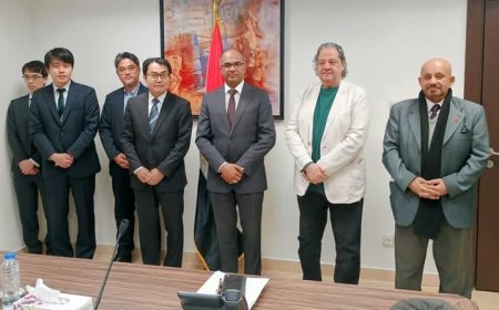 مصر تبحث مع وفد ياباني فرص الاستثمار في البنية التحتية ومشروعات تحلية المياه