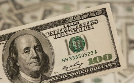 ارتفاع سعر الدولار أمام الجنيه المصري وسط قفزة تاريخية في تحويلات العاملين بالخارج