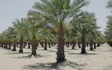 الأمن يضبط قناة فضائية «تحت بير السلم» جمعت تبرعات باسم «الصدقة الجارية» وضبط مليون جنيه داخل شقة