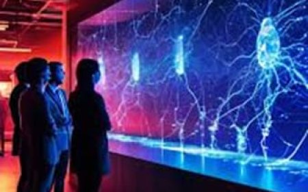 هل تنقل الخلايا العصبية الضوء؟ اكتشاف علمي جديد قد يغيّر فهمنا للدماغ