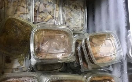 ضبط أطنان من الأسماك واللحوم الفاسدة في القاهرة قبيل احتفالات الربيع
