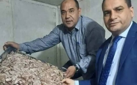 ضبط 5 أطنان من مخلفات الدواجن تُستخدم في تصنيع البرجر واللانشون بالوراق