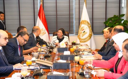 البيئة تعتمد ضوابط جديدة لتراخيص تجميع المخلفات الزراعية وتفعّل الهيكل التنظيمي لجهاز تنظيم المخلفات