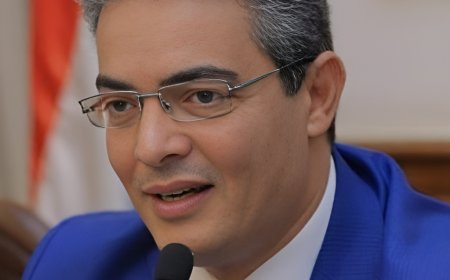 نقيب الإعلاميين يكشف عن حقيقة سارة خليفة: «منتحلة صفة إعلامية»