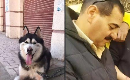 النيابة تُخلي سبيل الطبيب البيطري حمدي حجاج بعد وفاة كلب هاسكي بطنطا