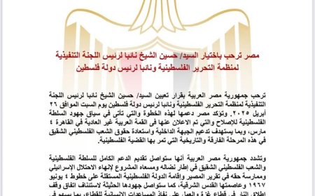 مصر تدعم تعيين حسين الشيخ نائبًا لرئيس دولة فلسطين ومنظمة التحرير