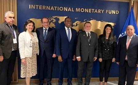 محافظ البنك المركزي المصري يلتقي نائب المدير العام لصندوق النقد الدولي بواشنطن