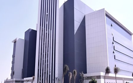 حبس أجنبي سنتين لإدارة كيان تعليمي وهمي والإتجار بالنقد الأجنبي