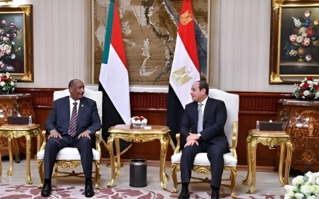 الرئيس السيسي يستقبل البرهان بقصر الرئاسة