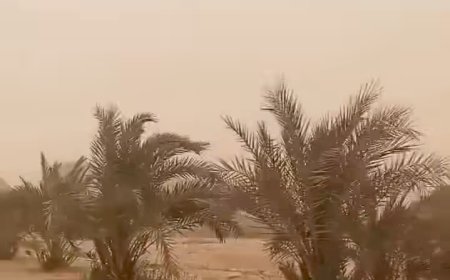 رياح محملة بالرمال تضرب واحة سيوة وتحذيرات من تدني الرؤية ومخاطر صحية