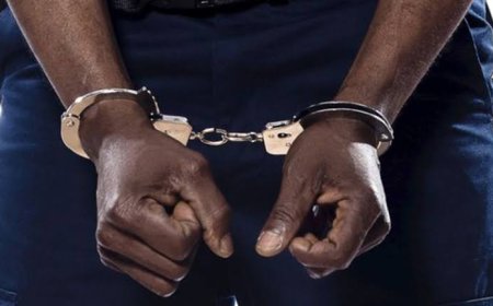 القبض على شخصين أطلقا النار في التجمع الخامس بسبب السرعة والضوضاء