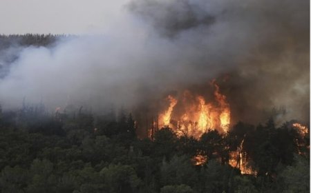 إسرائيل تحترق.. إخلاءات واسعة للسكان وتوقعات باشتداد سعير النيران خلال ساعات