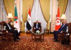 وزراء خارجية مصر وتونس والجزائر يجددون دعم الحل السياسي والاستقرار في ليبيا