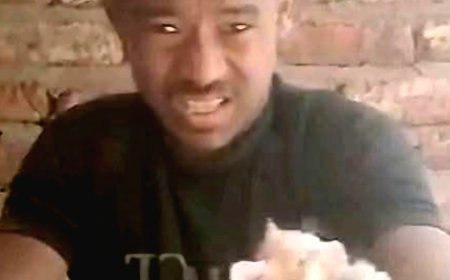 القبض على عامل يعتدي على قطة بسلاح أبيض ويصوّر الواقعة من أجل المشاهدات