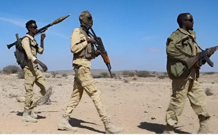 قوات الدراويش الصومالية تُجهِز على 10 من عناصر داعش في عملية نوعية ببونتلاند