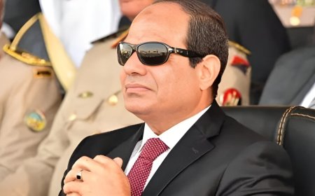 الرئيس عبد الفتاح السيسي يوجّه بتطوير محطة الزهراء للخيول ونقلها إلى العاصمة الإدارية بمعايير عالمية