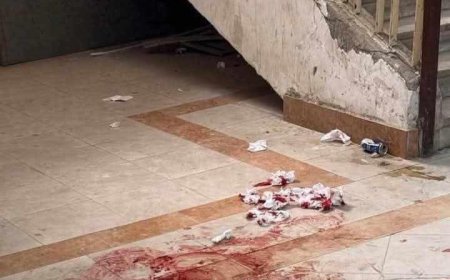 سقوط مأساوي لطالبة من الدور الخامس داخل كلية العلوم بجامعة الزقازيق.. وزملاؤها: «سابوها بتنزف ومافيش مسعف جه»