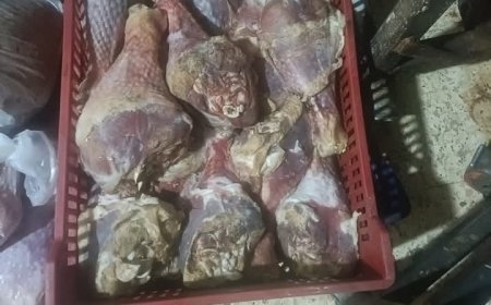 محافظة الجيزة تضبط 18.5 طن من اللحوم الفاسدة والأطعمة غير صالحة للاستهلاك الآدمي