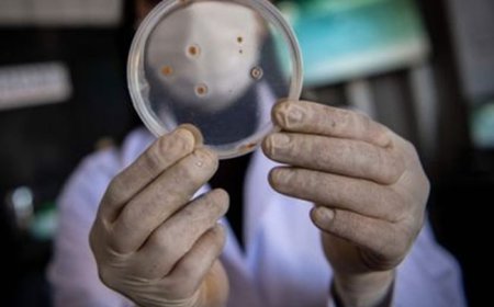 لحظة اختراق علمي: اكتشاف أول مضاد حيوي جديد منذ 30 عامًا يعيد الأمل في مواجهة مقاومة البكتيريا