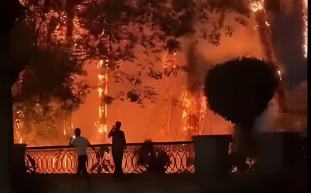 حريق هائل يلتهم أشجار النخيل بكورنيش النيل في المنيل باتجاه المعادي.. والدفاع المدني يتدخل