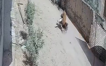 «الضمير الغائب» يقتل بريئًا.. سائق موتوسيكل يفر بعد دهس طفل